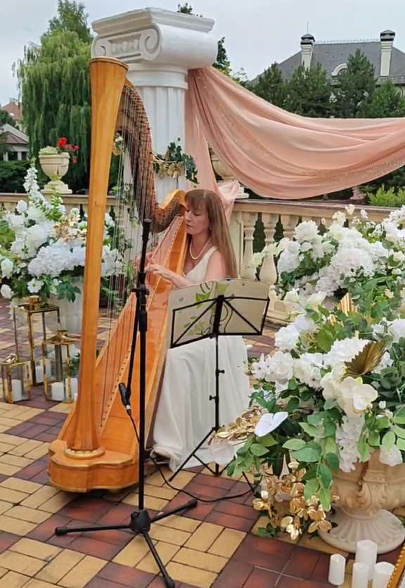 Профессиональная арфистка на выездном мероприятии в пригороде Киева.