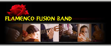 Flamenco Fusion Band